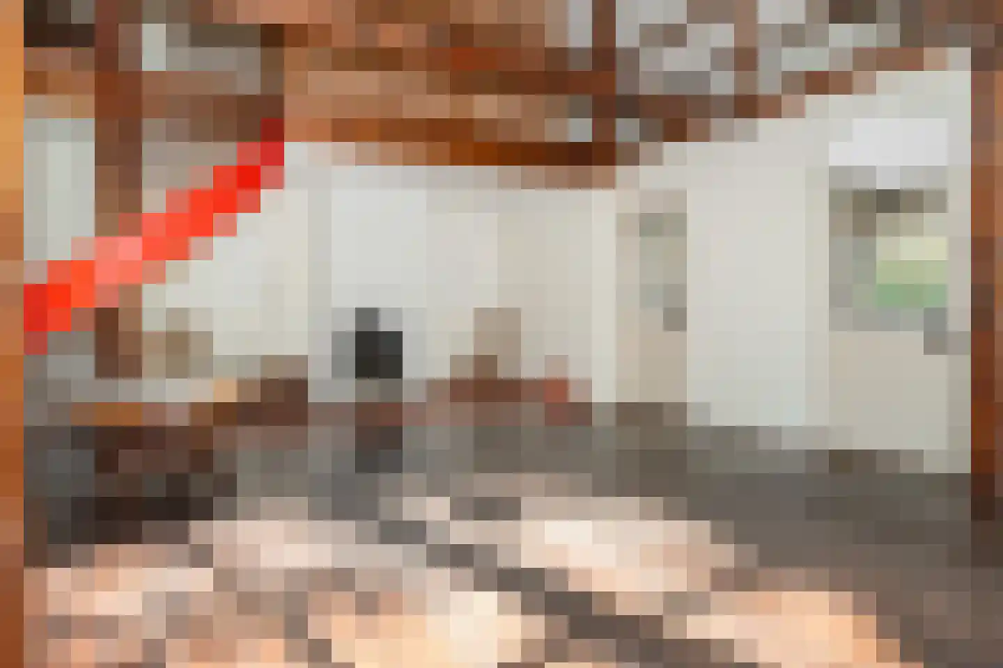 Grintgroeveweg 1 Epe thumbnail 13