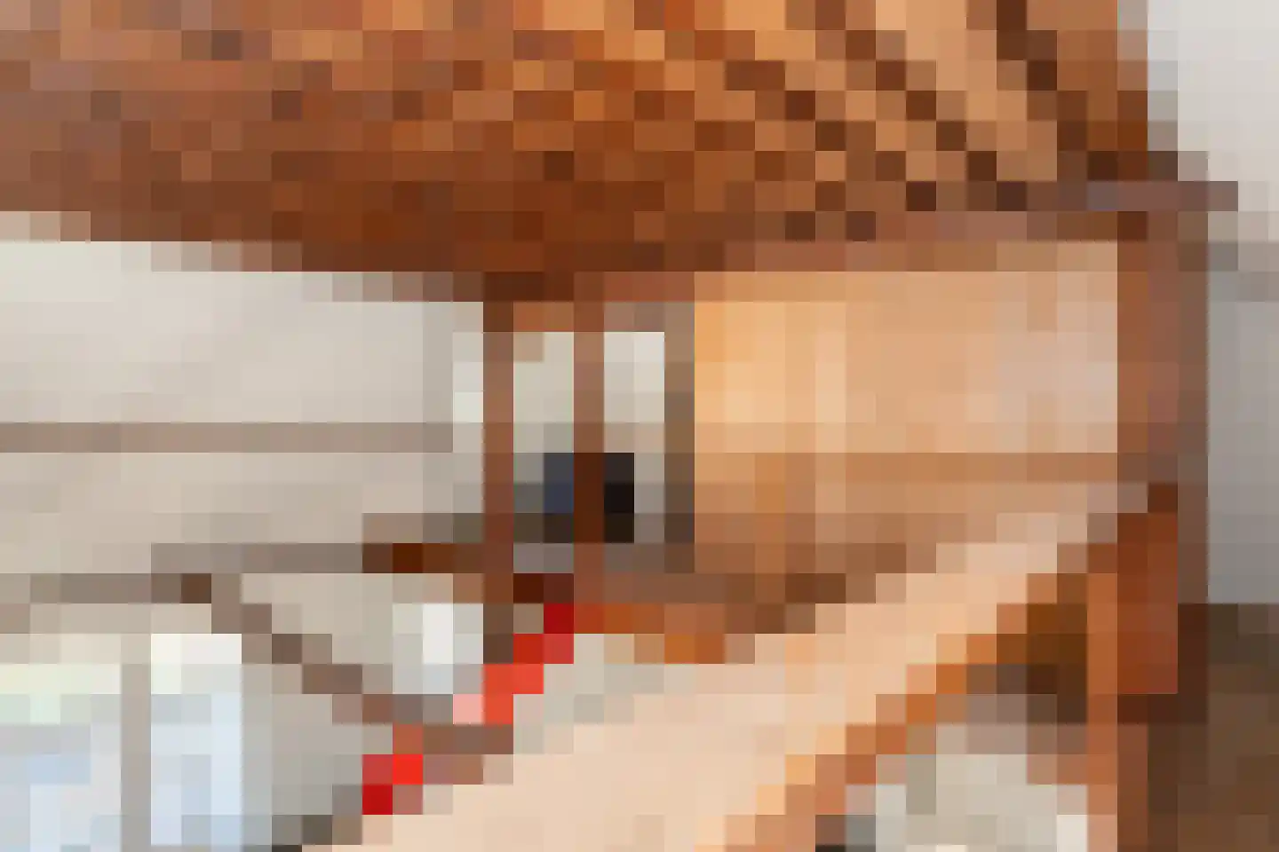 Grintgroeveweg 1 Epe thumbnail 22