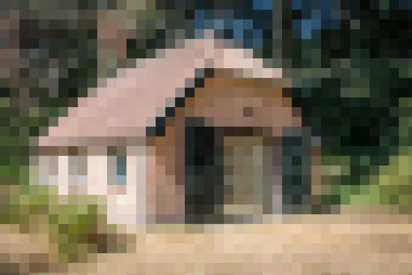 Grintgroeveweg 1 Epe thumbnail 28