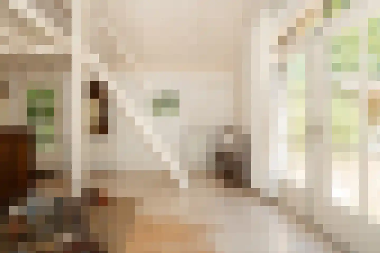 Grintgroeveweg 1 Epe thumbnail 30