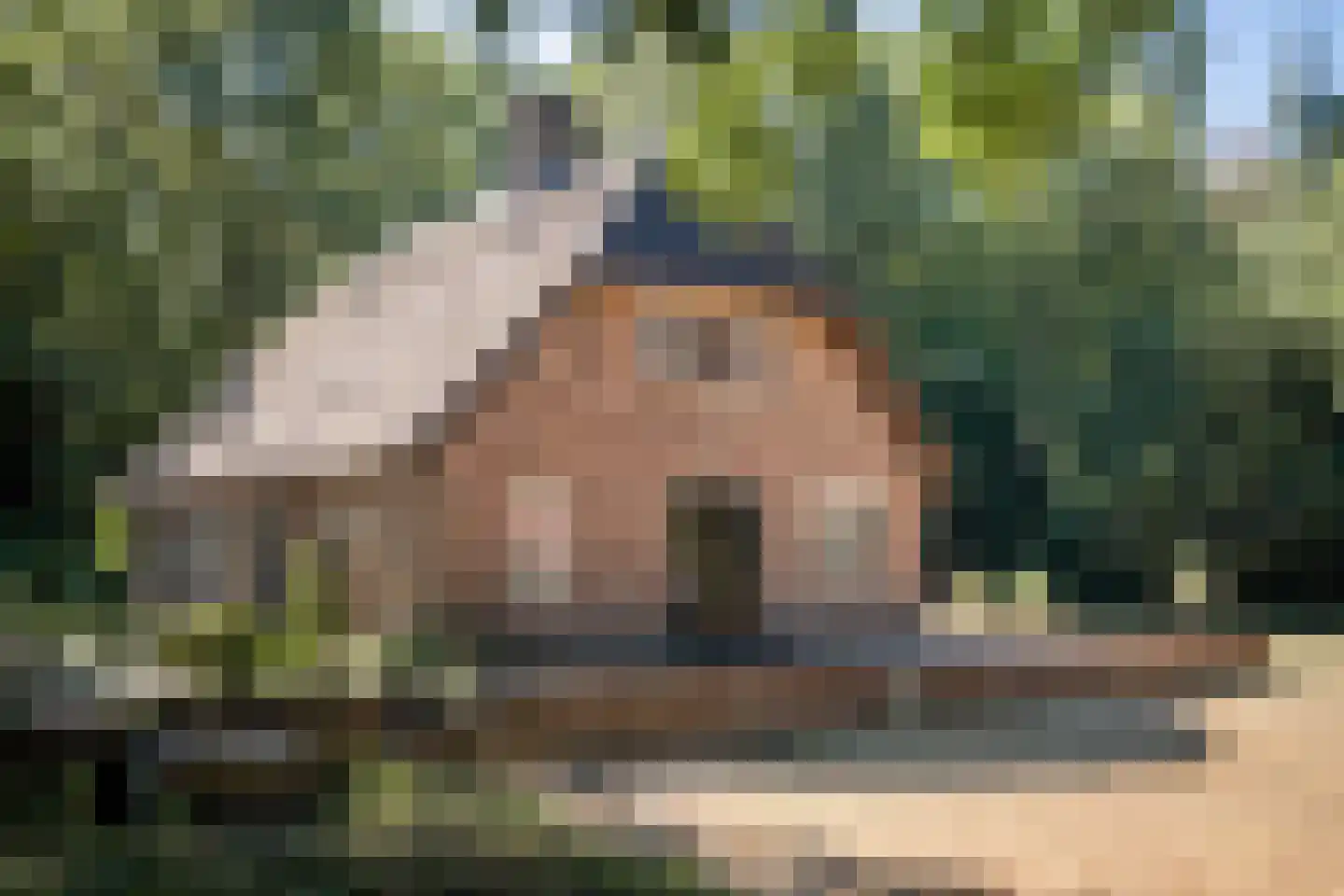 Grintgroeveweg 1 Epe thumbnail 4