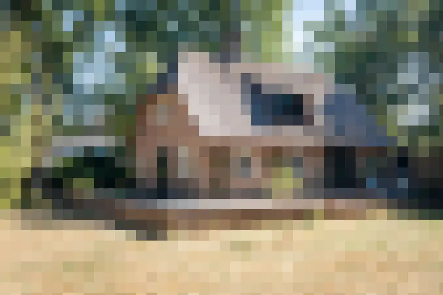 Grintgroeveweg 1 Epe thumbnail 40