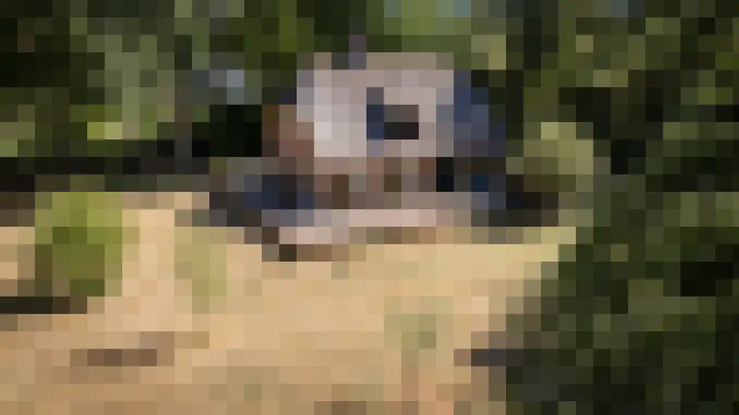 Grintgroeveweg 1 Epe thumbnail 41