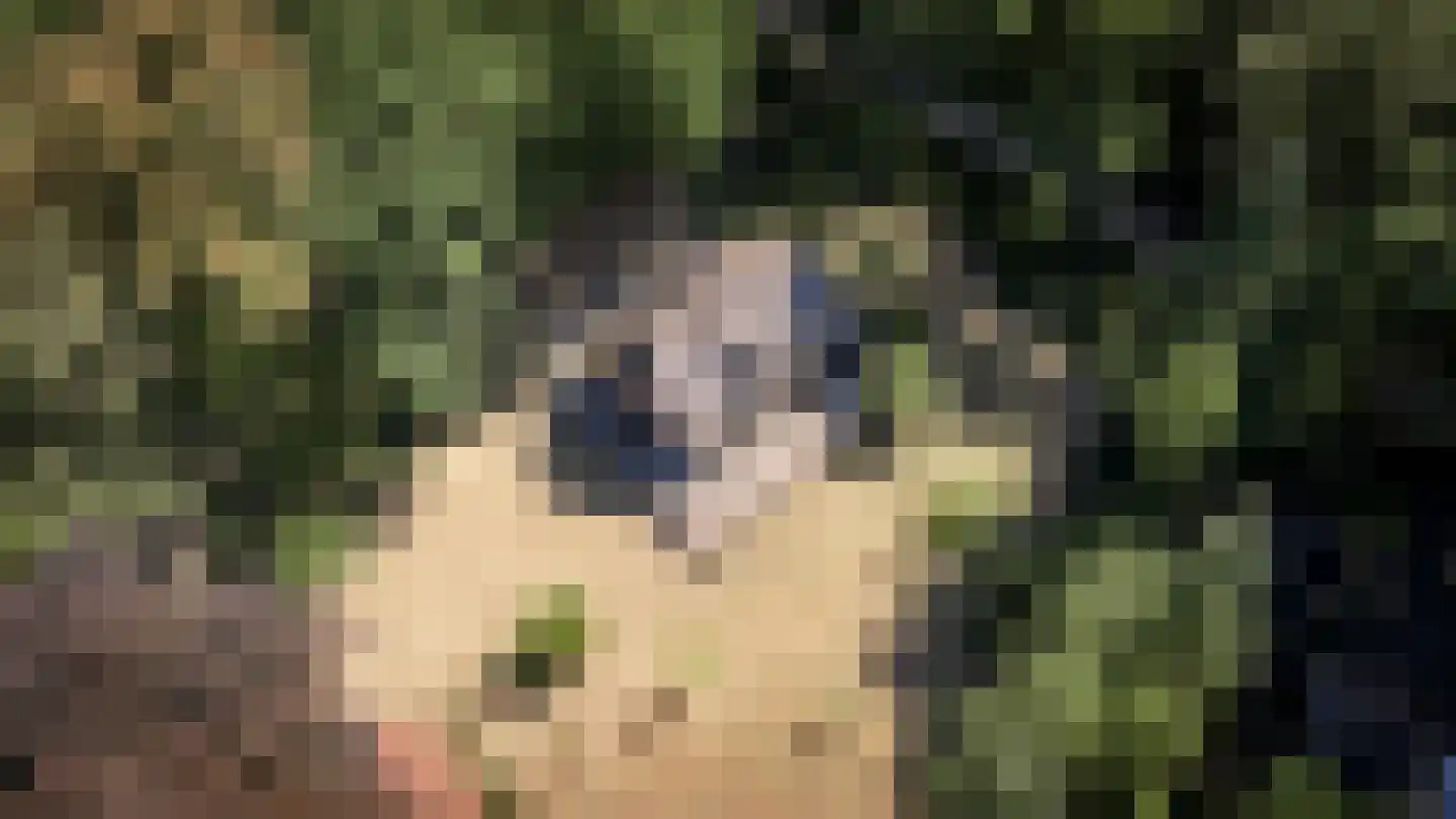 Grintgroeveweg 1 Epe thumbnail 42