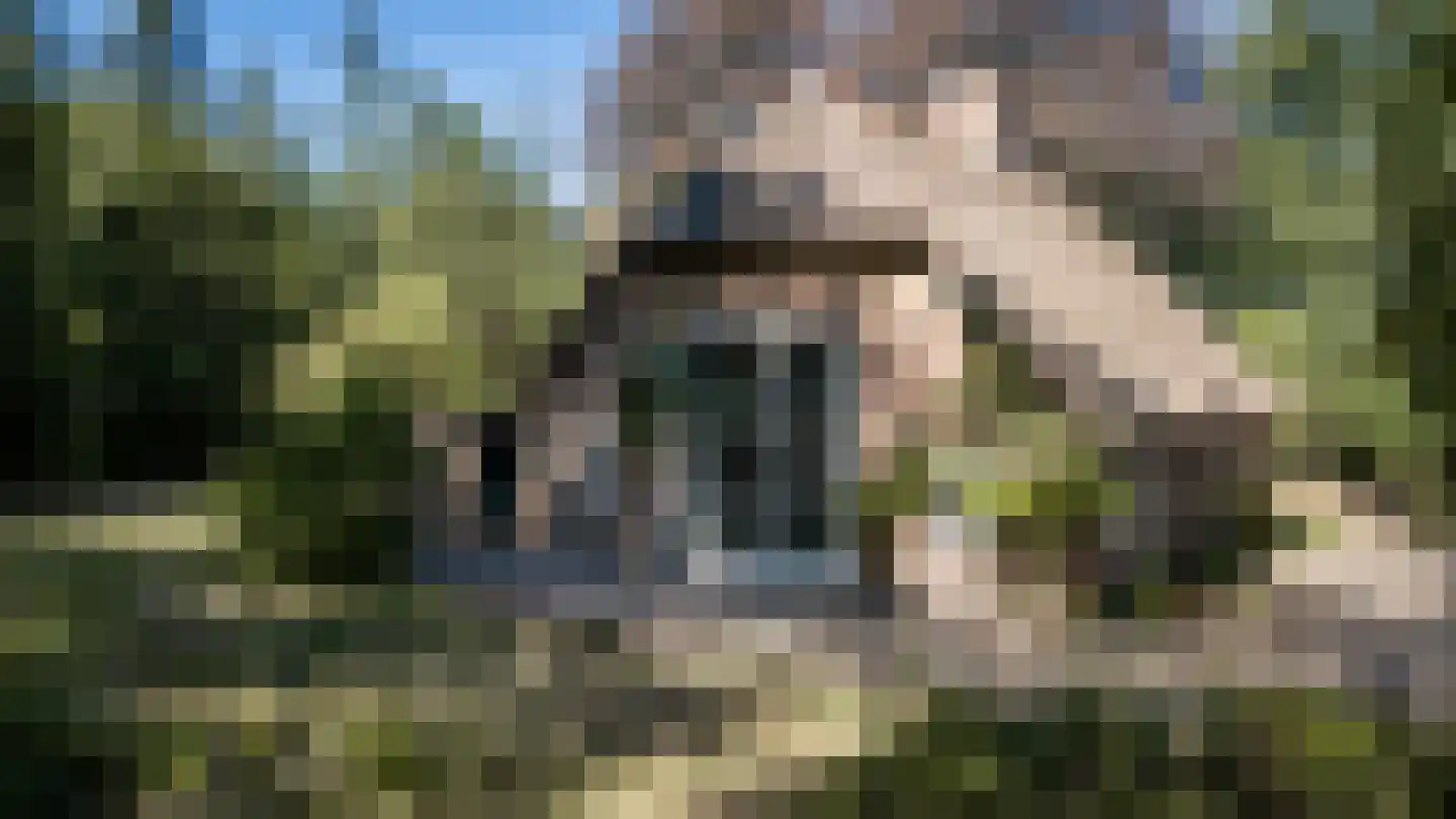 Grintgroeveweg 1 Epe thumbnail 5