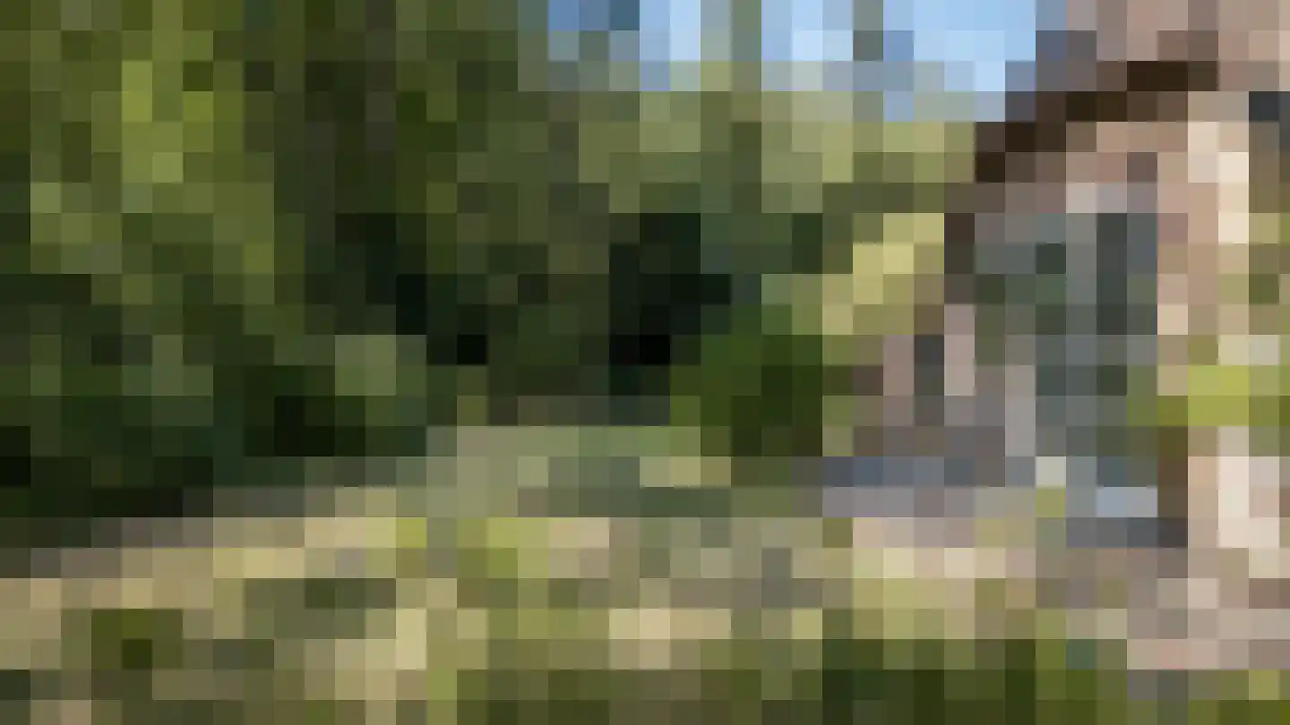 Grintgroeveweg 1 Epe thumbnail 6