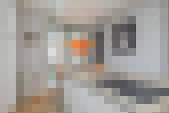 Grinthof 13 Hillegom thumbnail 12