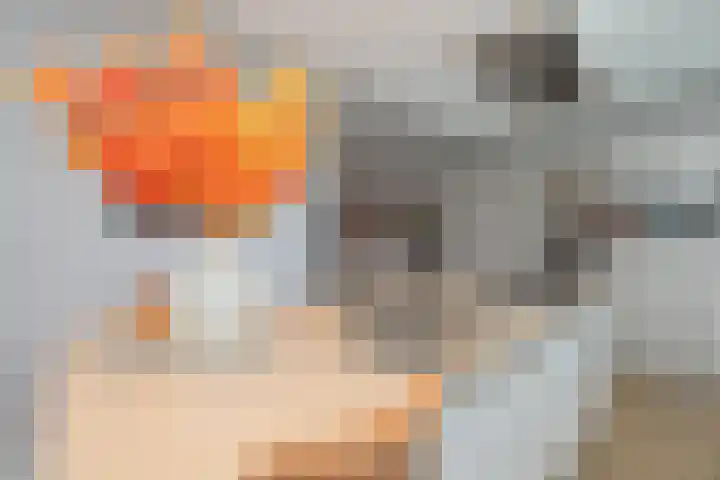 Grinthof 13 Hillegom thumbnail 13