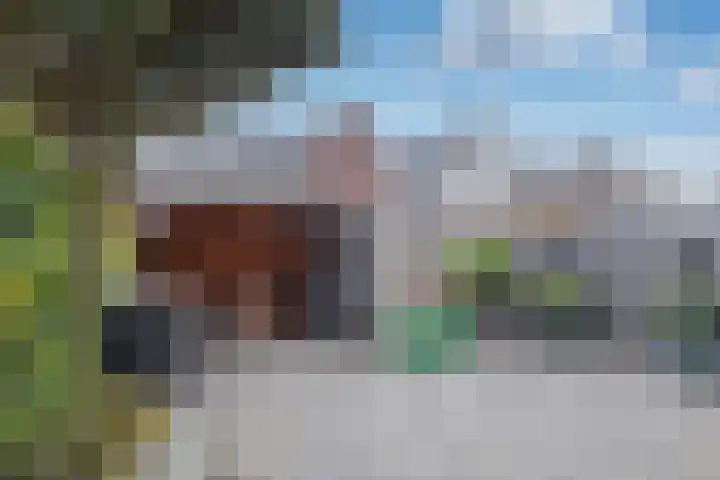 Grinthof 13 Hillegom thumbnail 18
