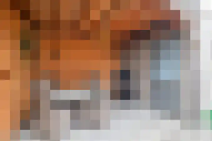 Grinthof 13 Hillegom thumbnail 20