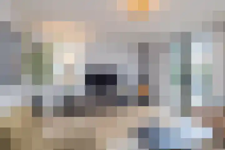 Grinthof 13 Hillegom thumbnail 22