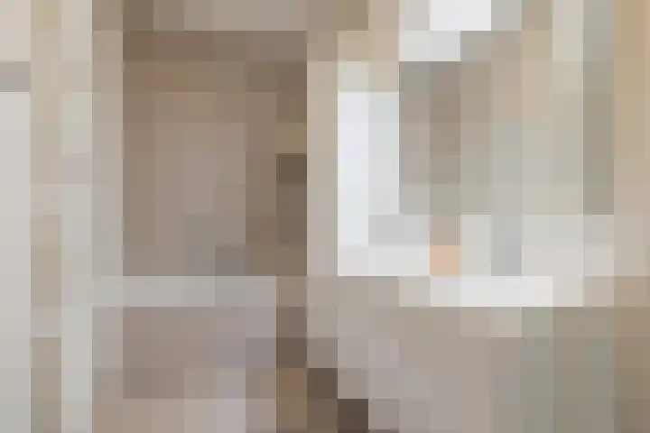 Grinthof 13 Hillegom thumbnail 37