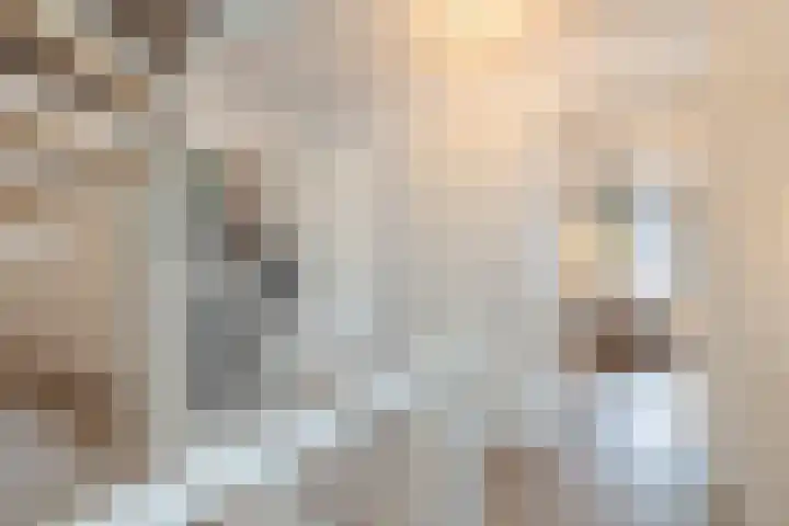 Grinthof 13 Hillegom thumbnail 44