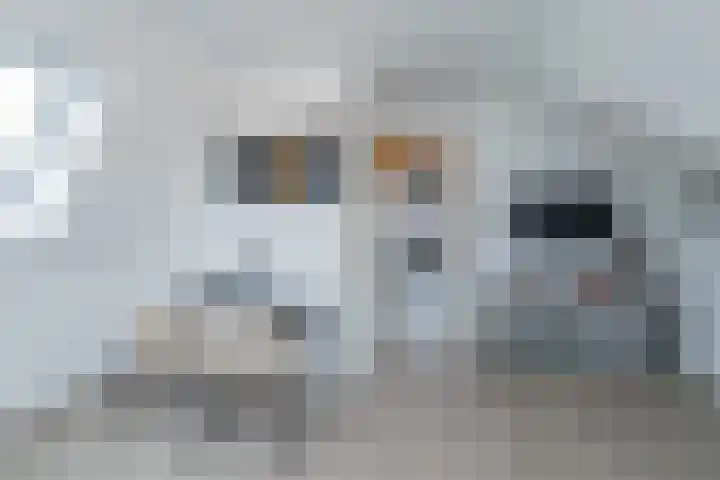 Grinthof 13 Hillegom thumbnail 53