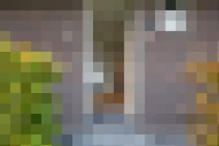 Grinthof 5 Hillegom thumbnail 11