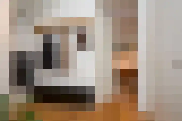 Grinthof 5 Hillegom thumbnail 14