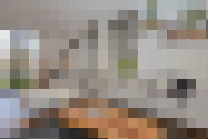 Grinthof 5 Hillegom thumbnail 19