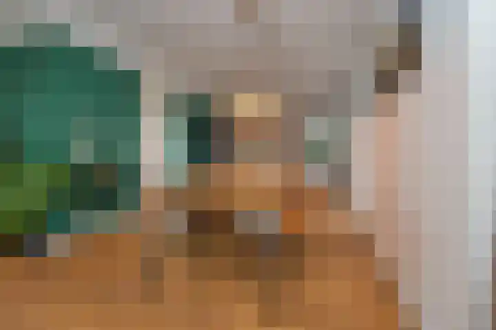 Grinthof 5 Hillegom thumbnail 20