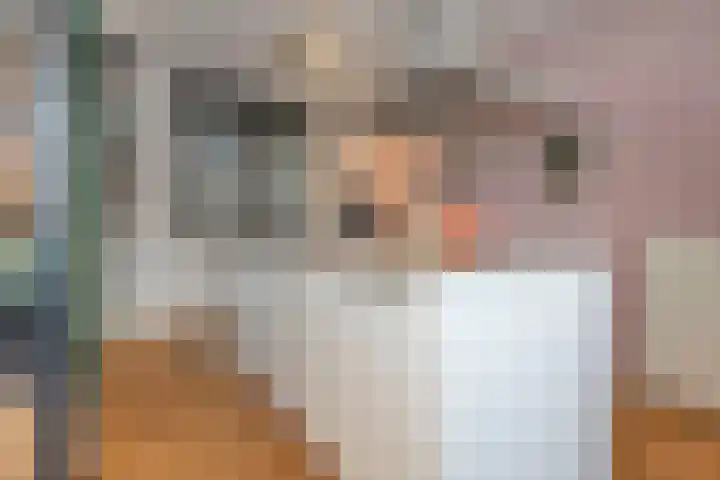 Grinthof 5 Hillegom thumbnail 24