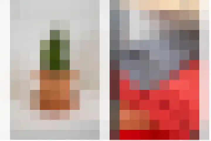 Grinthof 5 Hillegom thumbnail 35