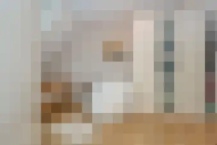 Grinthof 5 Hillegom thumbnail 36