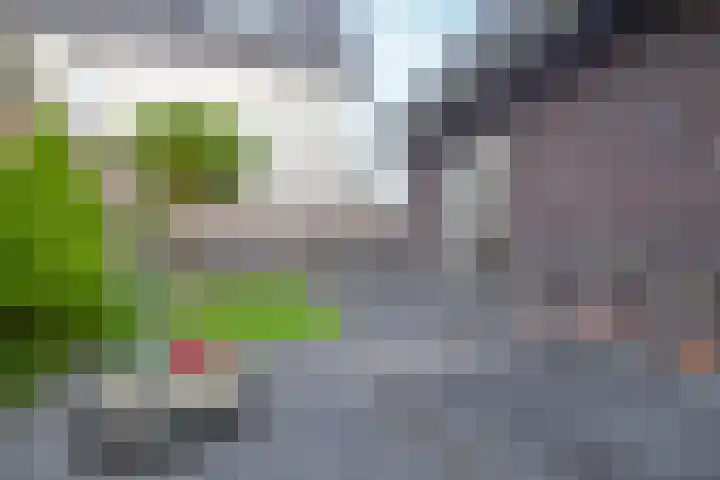 Grinthof 5 Hillegom thumbnail 42