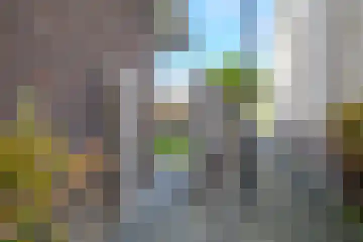 Grinthof 5 Hillegom thumbnail 46