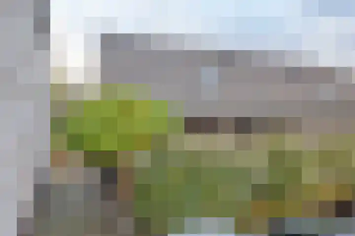 Grinthof 5 Hillegom thumbnail 47