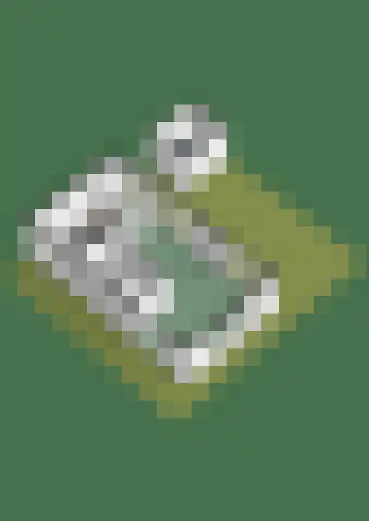 Grinthof 5 Hillegom thumbnail 61