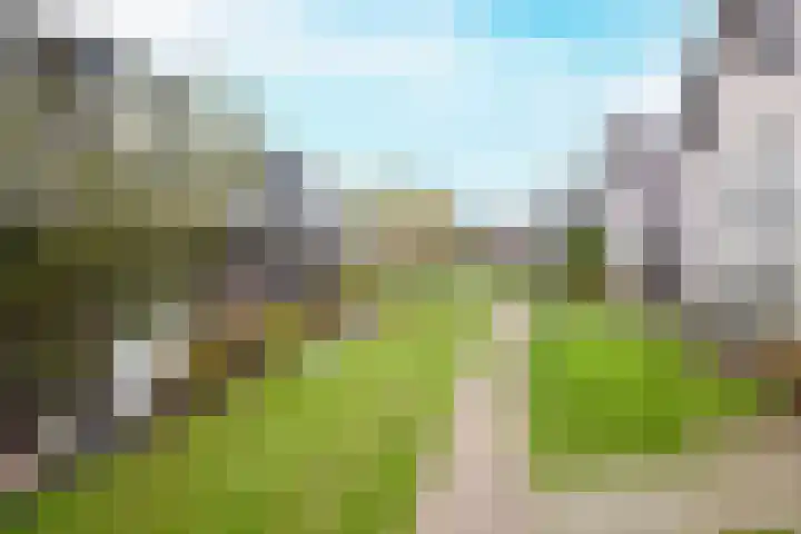 Grinthof 5 Hillegom thumbnail 7