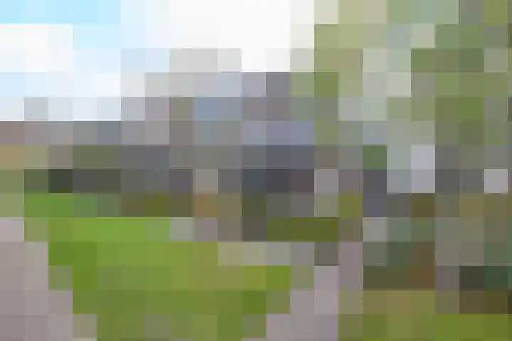 Grinthof 5 Hillegom thumbnail 8