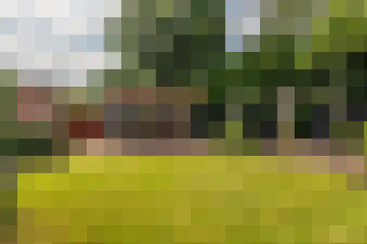 Grintweg 100 Winschoten thumbnail 49