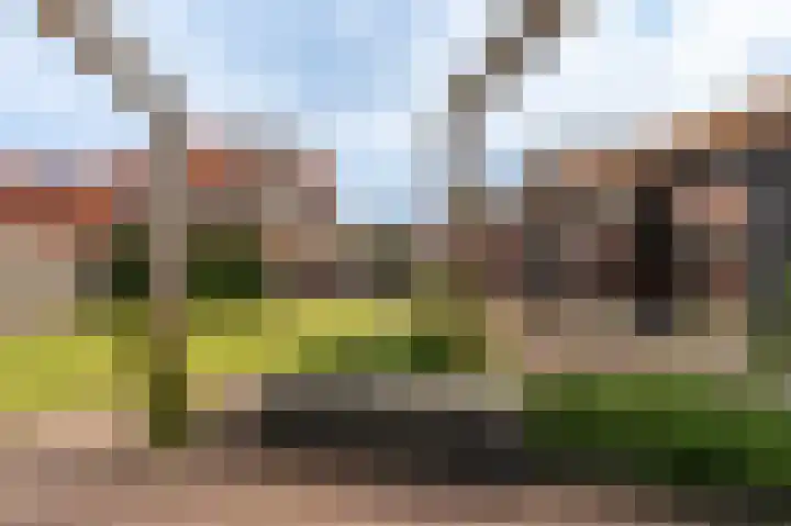Grintweg 100 Winschoten thumbnail 51