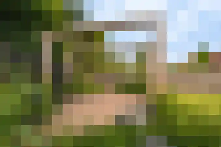 Grintweg 100 Winschoten thumbnail 52