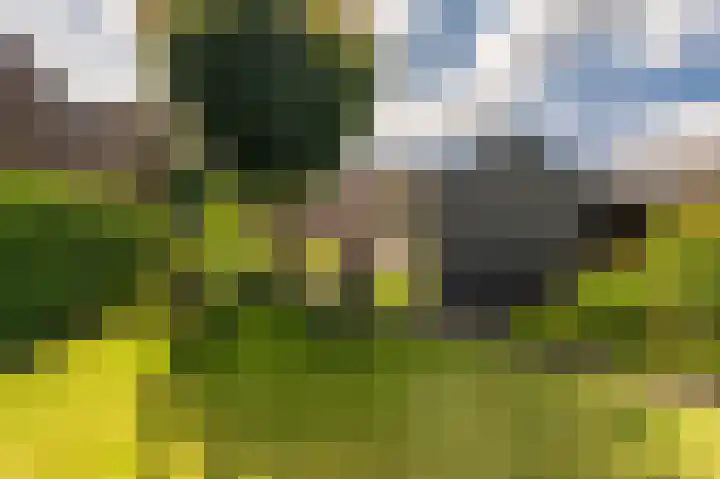 Grintweg 101 Winschoten thumbnail 4