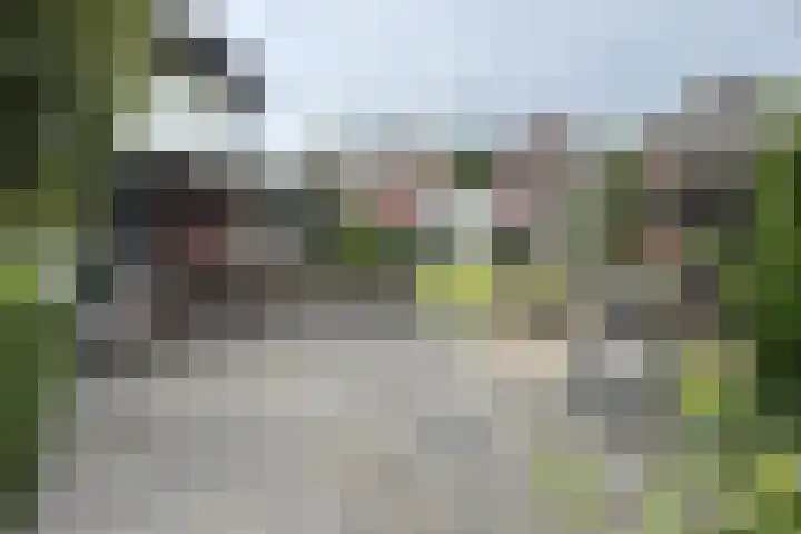 Grintweg 11 a Moerdijk thumbnail 5