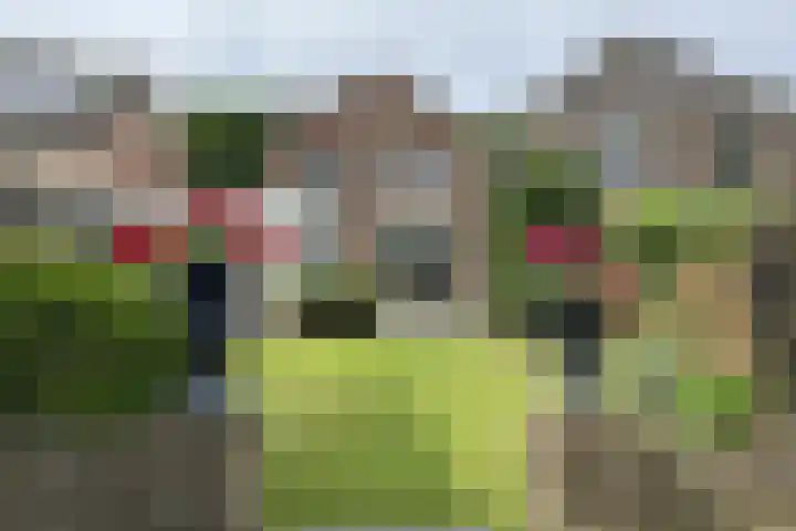 Grintweg 11 a Moerdijk thumbnail 51