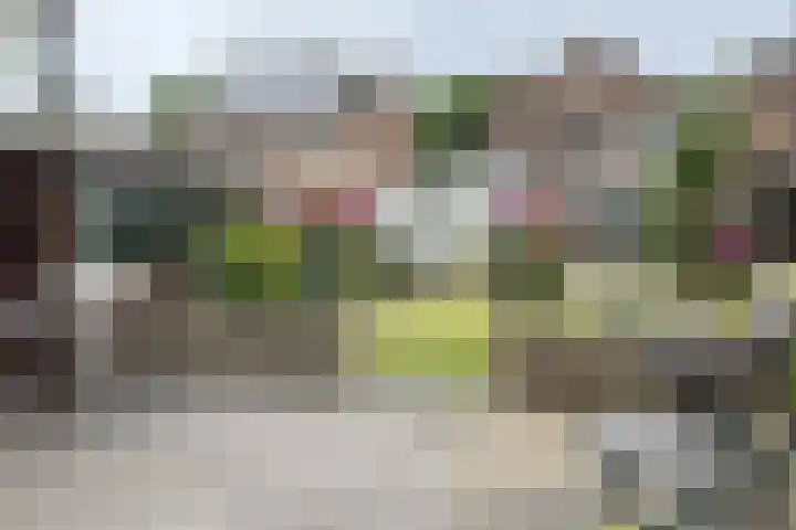 Grintweg 11 a Moerdijk thumbnail 52