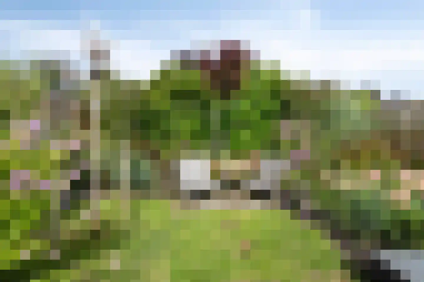 Grintweg 111 Winschoten thumbnail 42