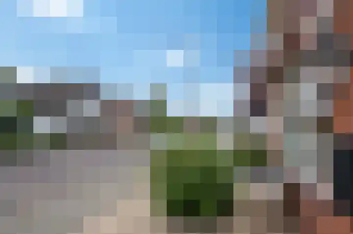 Grintweg 113 Winschoten thumbnail 5