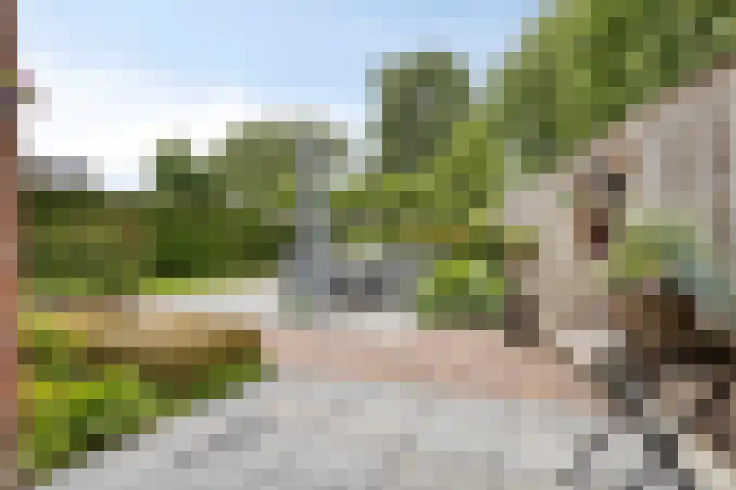 Grintweg 15 D Yerseke thumbnail 38