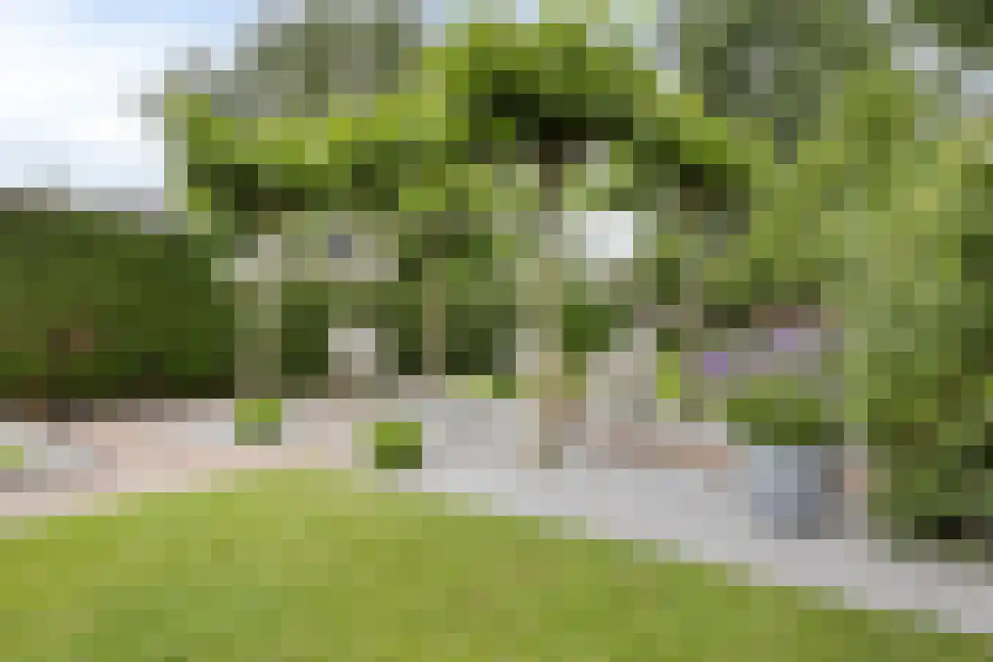 Grintweg 15 D Yerseke thumbnail 39