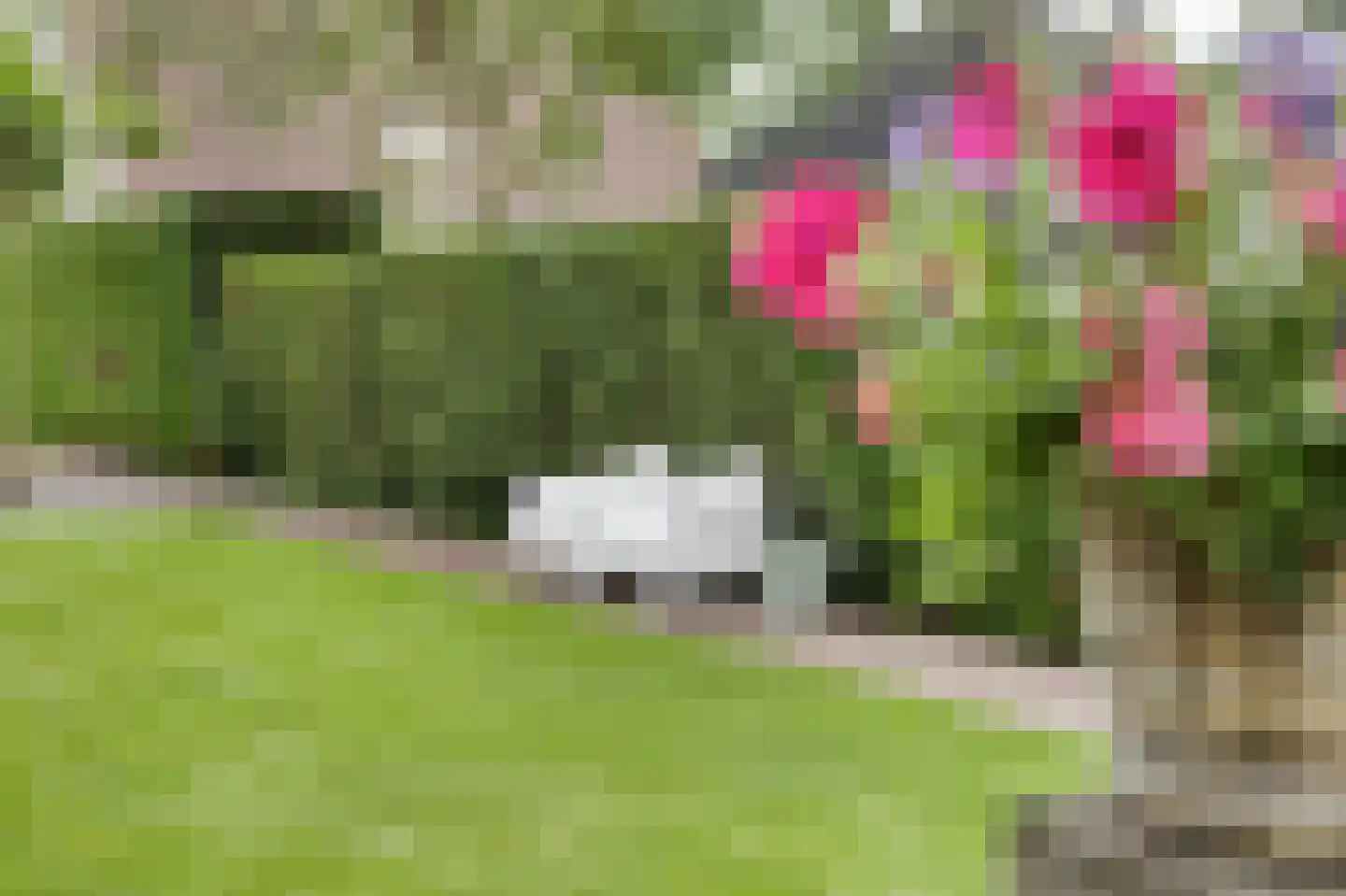 Grintweg 15 D Yerseke thumbnail 43