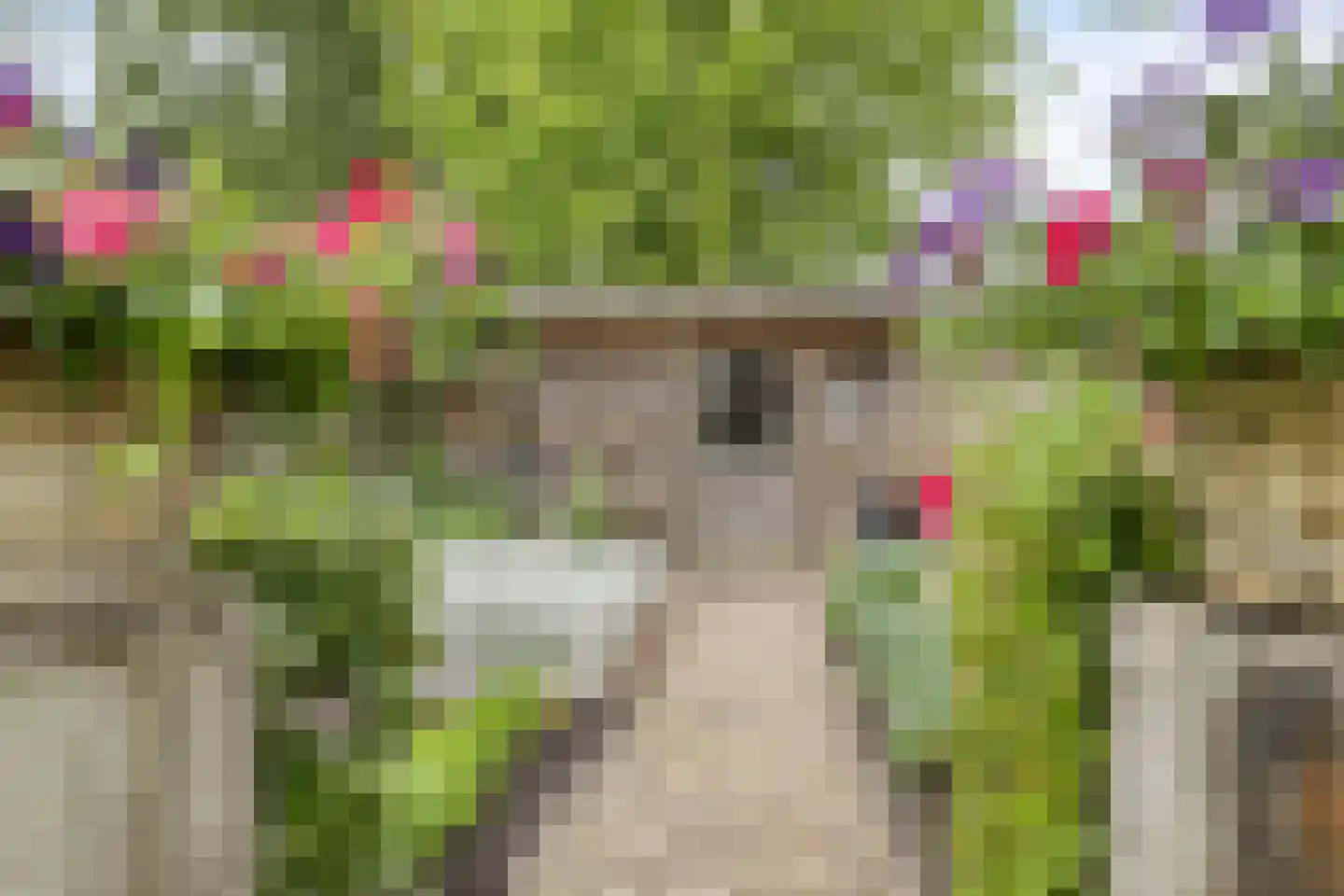 Grintweg 15 D Yerseke thumbnail 46