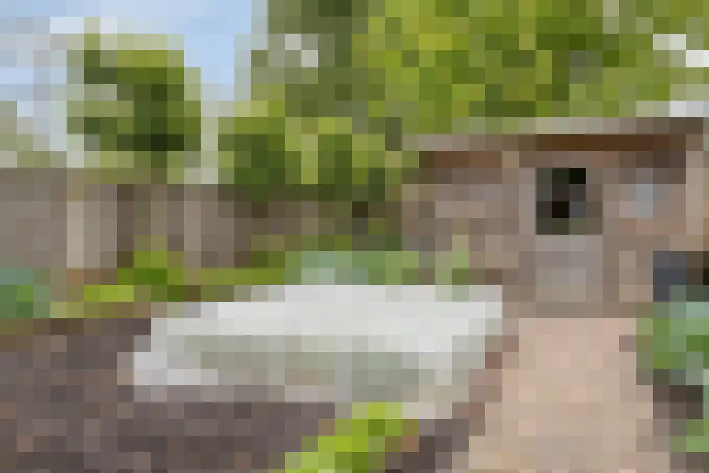 Grintweg 15 D Yerseke thumbnail 47