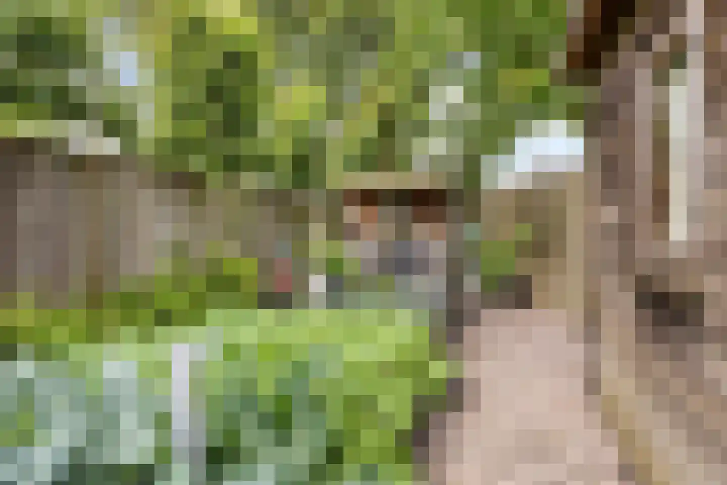 Grintweg 15 D Yerseke thumbnail 49