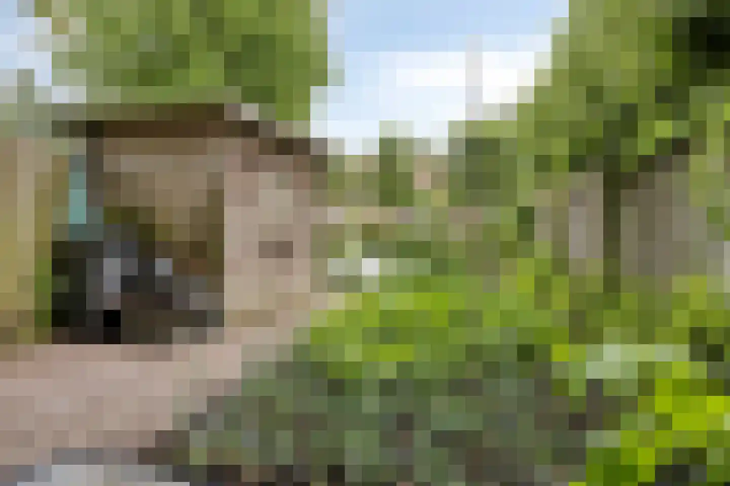 Grintweg 15 D Yerseke thumbnail 50