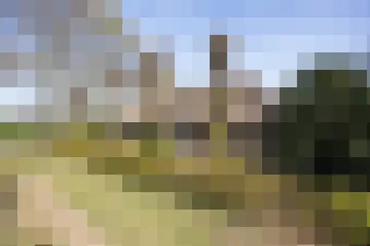 Grintweg 18 Breda thumbnail 5