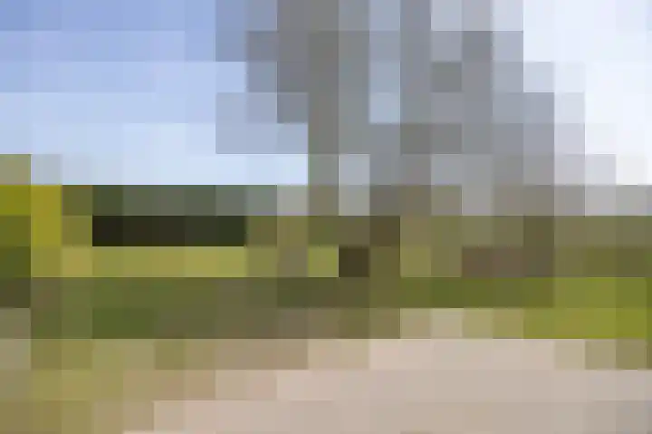 Grintweg 18 Breda thumbnail 58