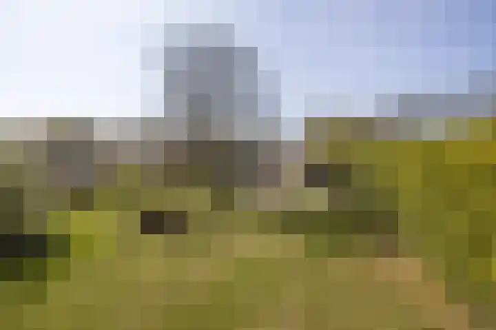 Grintweg 18 Breda thumbnail 59